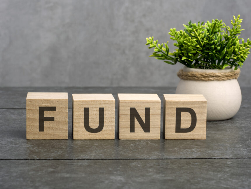 fund concept. fund – word is written on wooden cubes on a gray background. close-up of wooden elements. In the background is a green flower.