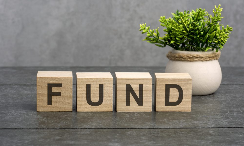 fund concept. fund - word is written on wooden cubes on a gray background. close-up of wooden elements. In the background is a green flower.